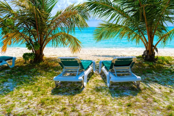 Chaises longues sur une belle plage tropicale aux Maldives — Photo