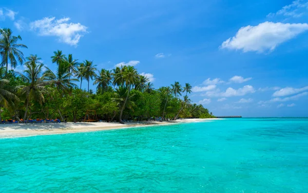 Palmeras contra el cielo azul y nubes blancas. — Foto de Stock