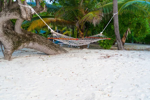 Rede vazia entre palmeiras na praia de areia — Fotografia de Stock