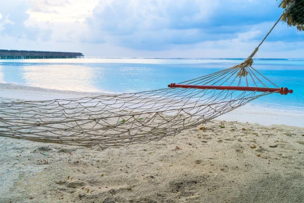 Hamaca vacía entre palmeras en la playa de arena —  Fotos de Stock