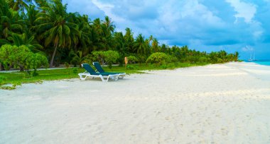 Maldivler 'de güzel bir tropik plajda şezlonglar.