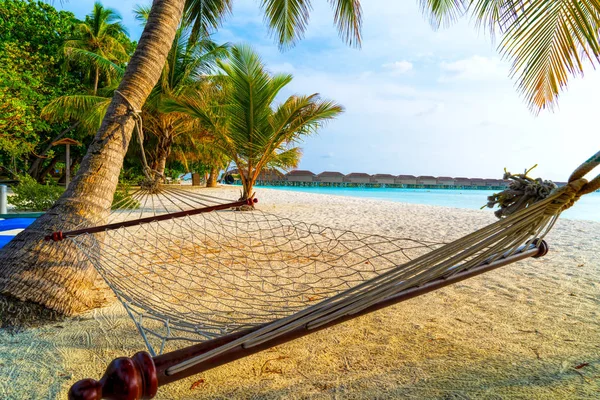 Amaca vuota tra palme sulla spiaggia sabbiosa — Foto Stock