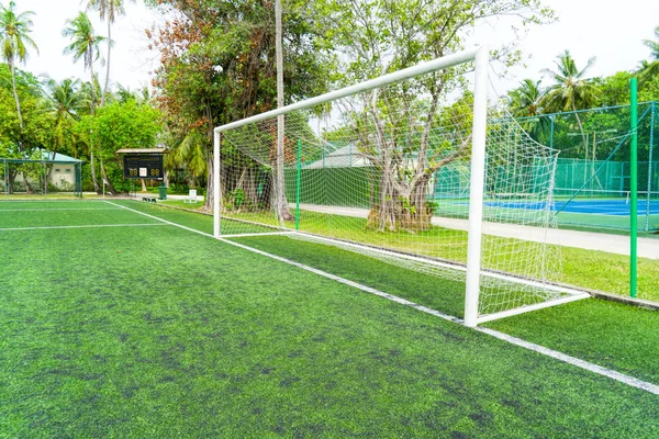 Campo de fútbol, césped verde artificial, entre un bosque de palmeras. — Foto de Stock