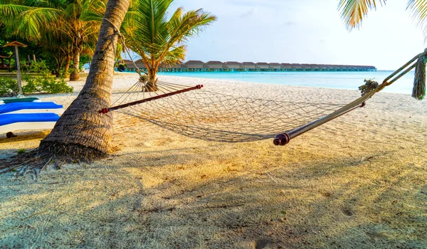 Hamaca vacía entre palmeras en la playa de arena — Foto de Stock