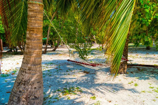 Amaca vuota tra palme sulla spiaggia sabbiosa — Foto Stock