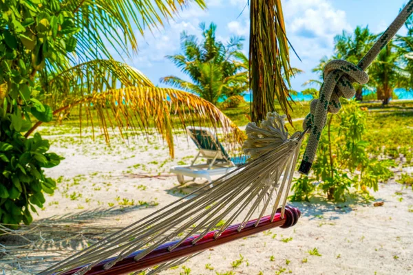 Pusty hamak między palmami na piaszczystej plaży — Zdjęcie stockowe