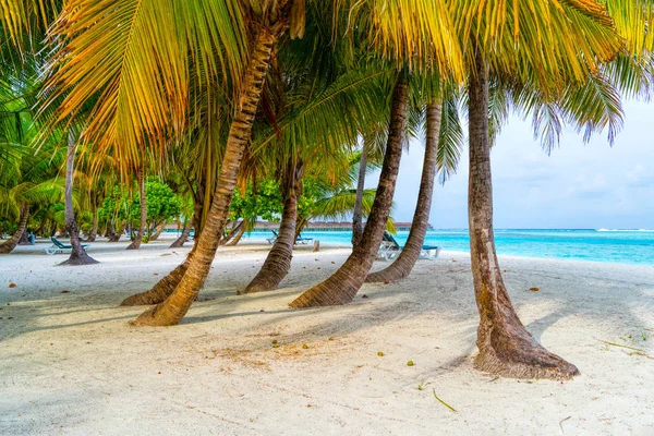 Lounge židle na krásné tropické pláži na Maledivách — Stock fotografie