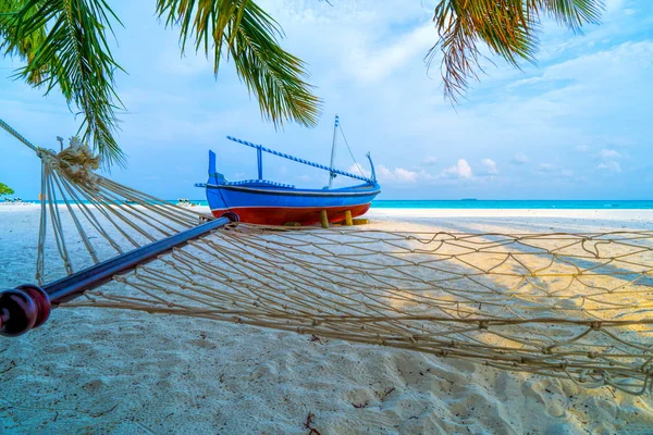 Lege hangmat tussen palmbomen op zandstrand — Stockfoto