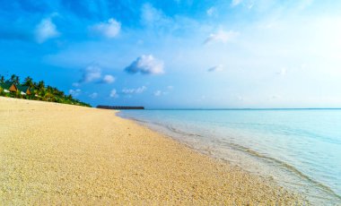 Mavi gökyüzüne ve beyaz bulutlara karşı palmiye ağaçları.