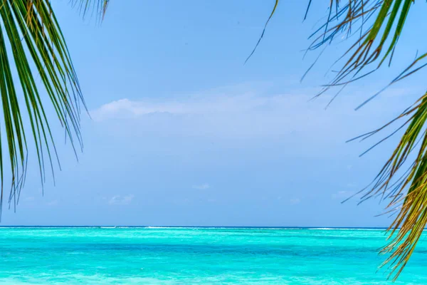 Uitzicht op mooi tropisch strand met enkele palmen — Stockfoto