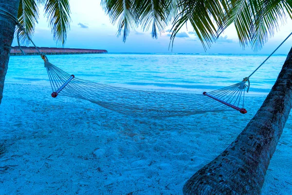 Empty hammock between palms trees at sandy beach