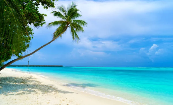 Schaduwen van palmbomen aan de zandkust van het tropische paradijs — Stockfoto