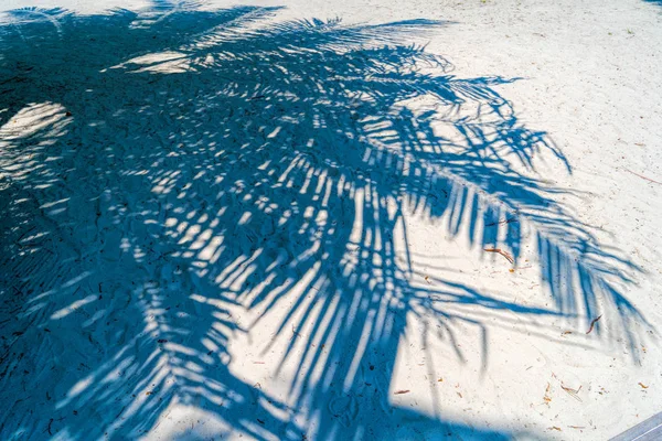 Sombras de palmeiras na costa arenosa do paraíso tropical — Fotografia de Stock