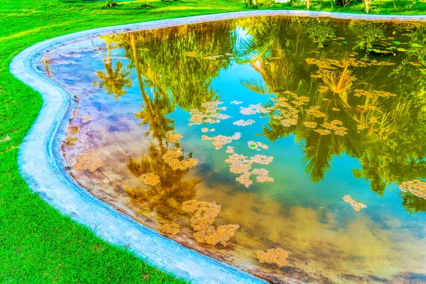 Reflexion der Kokospalmen rund um den Teich — Stockfoto