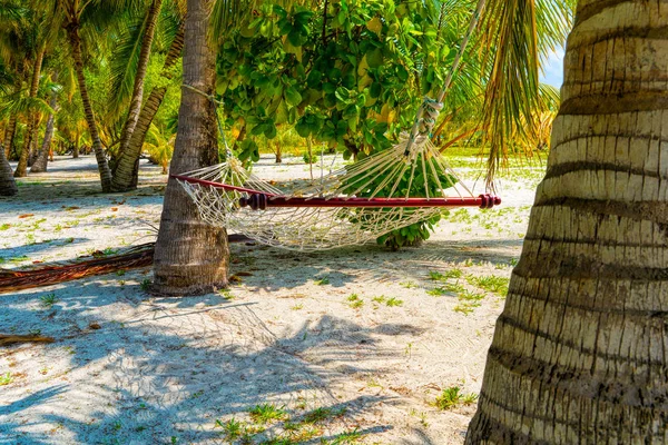 Hamaca vacía entre palmeras en la playa de arena — Foto de Stock