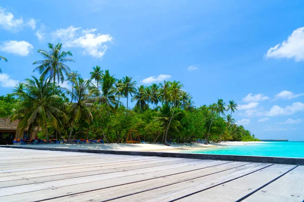 Palmeras contra el cielo azul y nubes blancas. —  Fotos de Stock