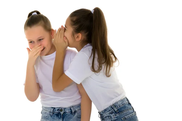 Duas meninas alegres compartilham segredos um no outro s orelha. — Fotografia de Stock