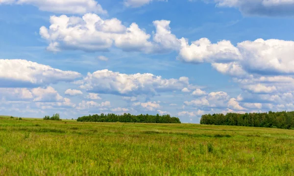 Céu azul e nuvem com árvore de prado. Fundo paisagem lisa para cartaz de verão. — Fotografia de Stock