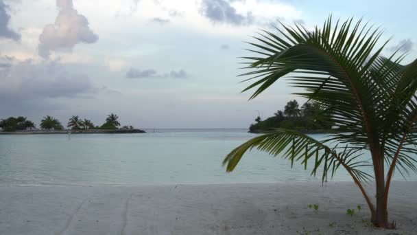 Plage de sable avec mer turquoise transparente ou océan et ciel bleu — Video