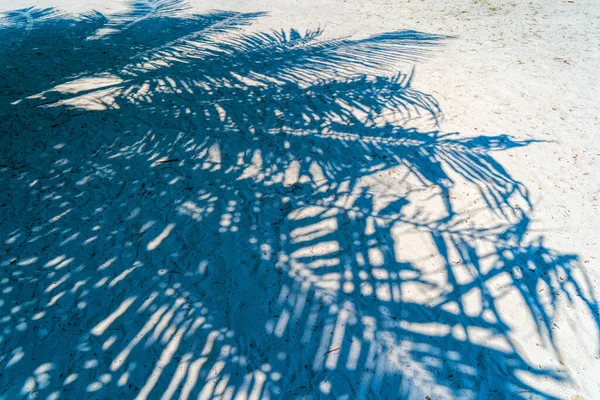 Tropikal cennetin kumlu sahilinde palmiye ağaçlarının gölgeleri — Stok fotoğraf