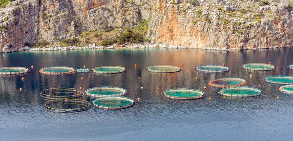 海の養魚場 — ストック写真