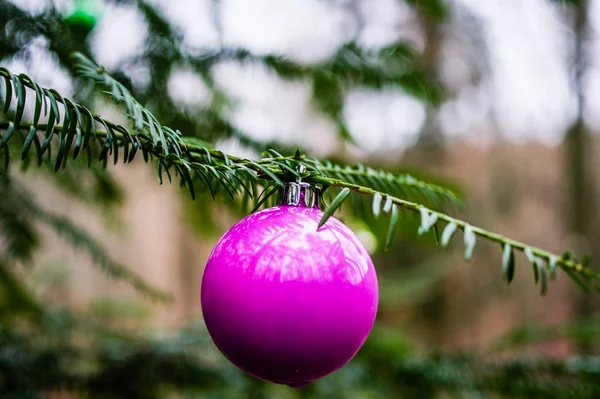 Kerstbal Een Kerstboom Het Bos Met Takken Een Groene Uitstraling — Stockfoto