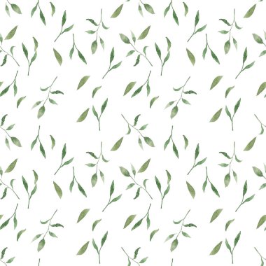 Kusursuz desenler bırakır böğürtlen ve çiçekleri suluboya