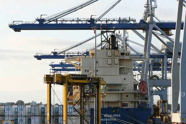 Hajó, kerekes daruk és verem a tartályokban, Auckland tengeri kikötő. — Stock Fotó