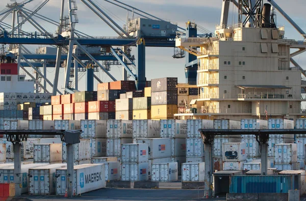 Kołowe żurawie i stosu kontenerów w porcie w Auckland. — Zdjęcie stockowe