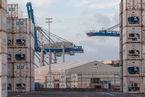 Shpping żurawi i stosu kontenerów o port morski w Auckland — Zdjęcie stockowe