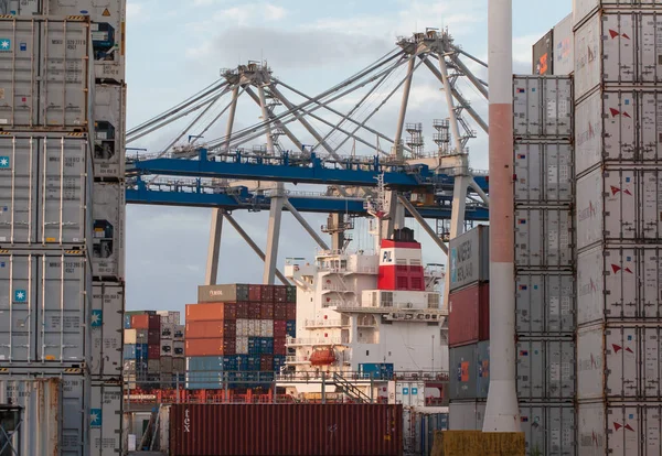 Γερανοί και στοίβα ναυτιλία εμπορευματοκιβωτίων στο λιμάνι του Auckland — Φωτογραφία Αρχείου