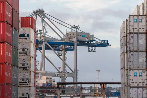 Γερανοί και στοίβα ναυτιλία εμπορευματοκιβωτίων στο λιμάνι του Auckland — Φωτογραφία Αρχείου