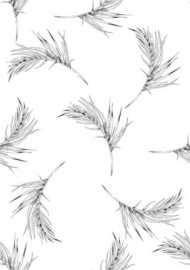 Dikişsiz kontur tropikal desen, egzotik yapraklarla çok nazik vektör çizim.