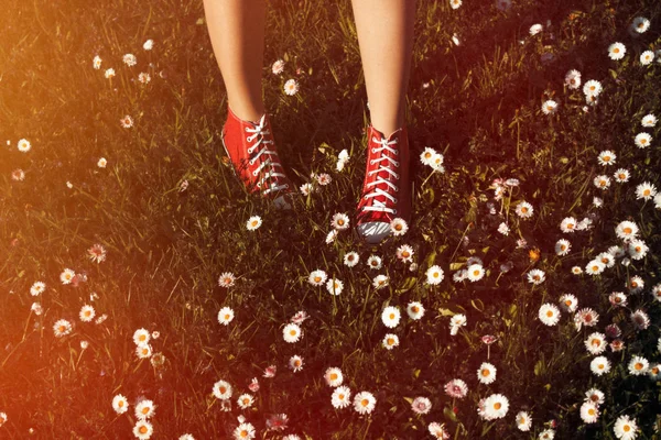 Teenage Legs Sneakers White Dress Standing Lush Springtime Grass Flowers — Stock Photo, Image