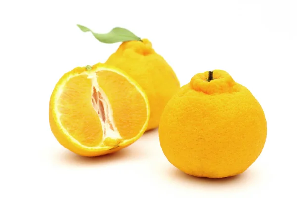 Färsk Orange Vit Bakgrund — Stockfoto