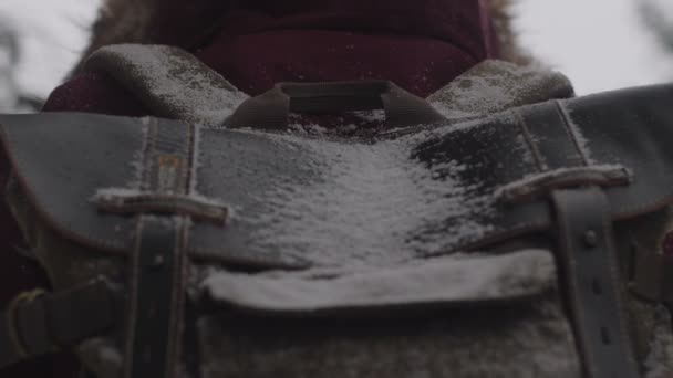Снег Рюкзаке Путешествие Девушкой Красной Куртке Движение Камеры Слева Направо — стоковое видео