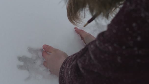 手袋をせず女性の手がスローモーションで森の中の雪は 雪が降ったと長い時間の手のひらにそれを保持して雪だるまを形成 — ストック動画