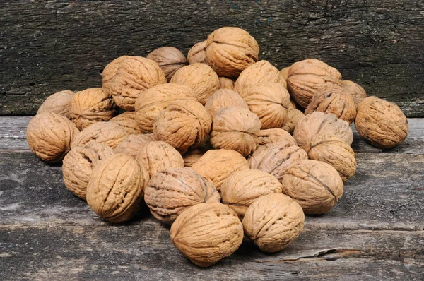 Walnuts Shell Front View — Stock Photo, Image