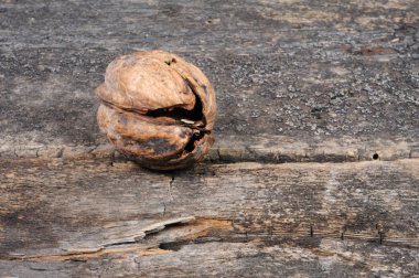 Kırık kabuk ceviz. Önden Görünüm.