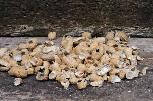 Fıstık kılıf. Önden Görünüm.