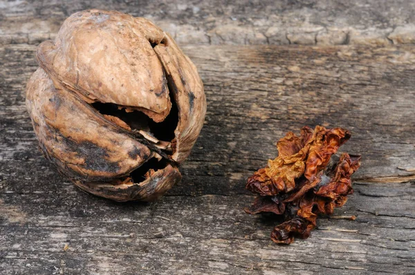 Cracked Walnut Shell Dried Kernel Walnut Front View — Stock Photo, Image