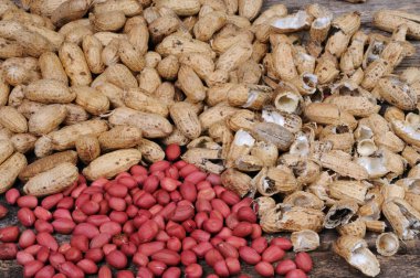 Ceviz. Kabuktan temizlenmiş. Ön görünüm.