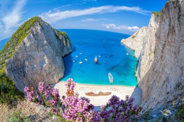 Navagio plaj batık ve çiçeklerle Zakynthos Adası Yunanistan