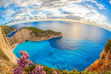 Navagio plaj batık ve çiçeklerle Zakynthos Adası Yunanistan
