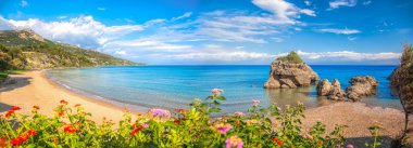 Yunanistan 'ın Zakynthos adasında Porto Zorro plajının panoraması renkli çiçeklere karşı