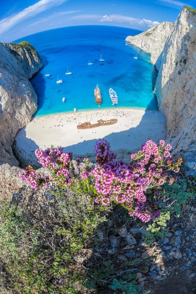 Pláž Navagio s ztroskotání a květiny na ostrově Zakynthos v Řecku — Stock fotografie