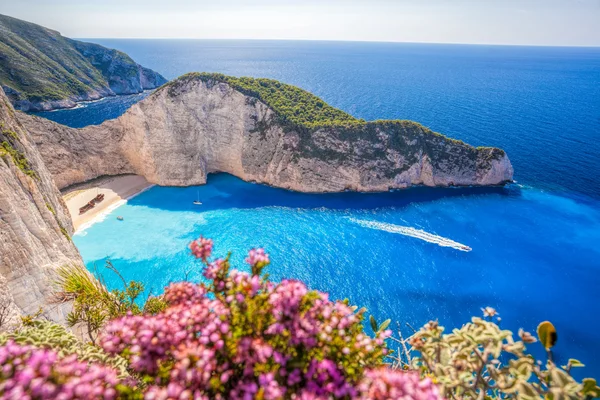 Navagio playa con naufragio y flores en la isla de Zakynthos en Grecia —  Fotos de Stock