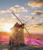 Windmill with levander field against colorful sunset in Provence, France
