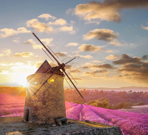 Windmill with levander field against colorful sunset in Provence, France — Stock Photo, Image