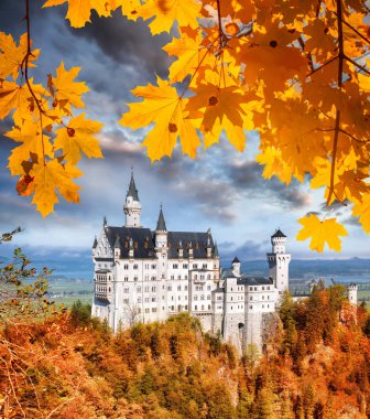 Bavyera, Almanya Neuschwanstein Şatosu ile sonbahar yaprakları